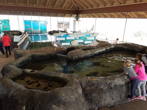 living coast discovery center