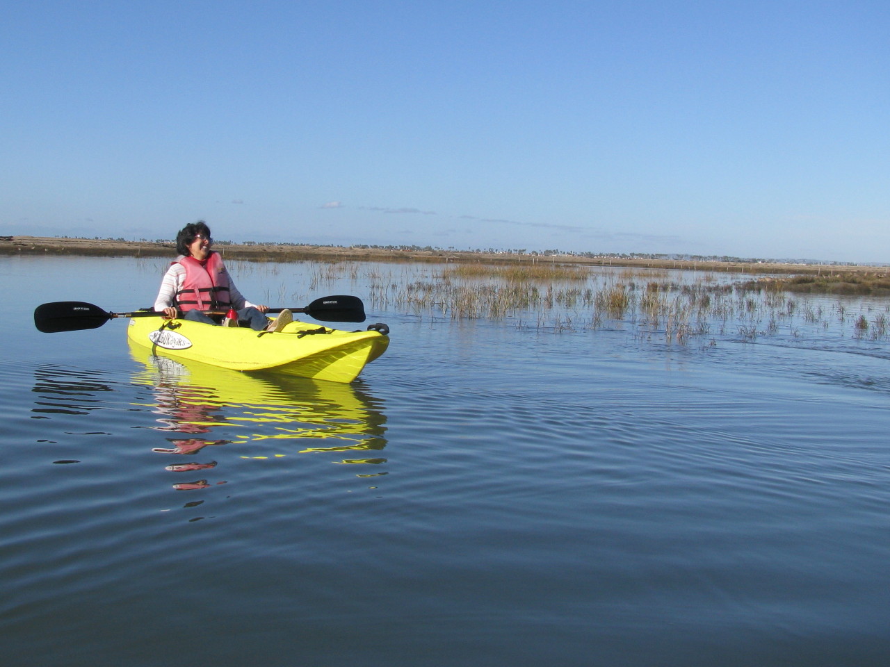 Kayaking southday wildlife