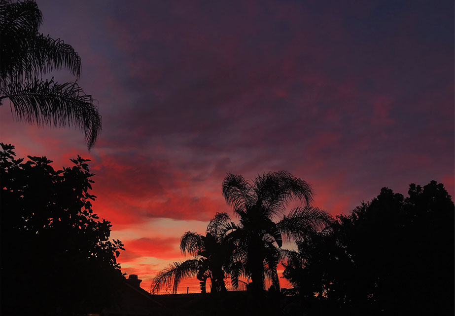 photo of bright red, orange, and purple sunset taken from my backyard. 